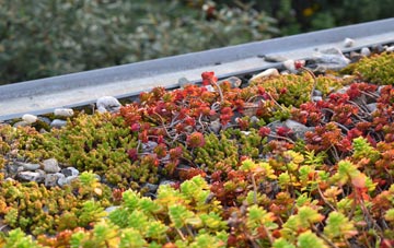 the cost of West Butterwick green roof installation