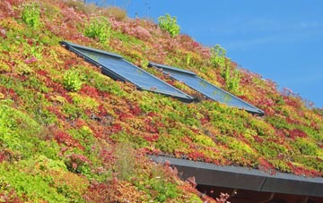 West Butterwick living roof systems