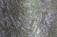 West Butterwick fibreglass roof work